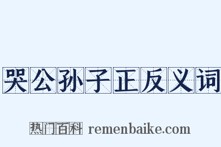哭公孙子正反义词是什么意思的图片